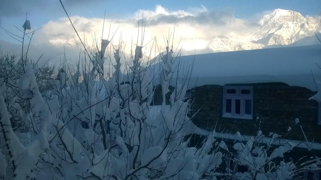 Farmvilla Homestay Калпа Екстериор снимка